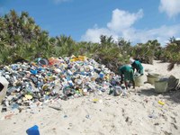 Plastics and Wastes