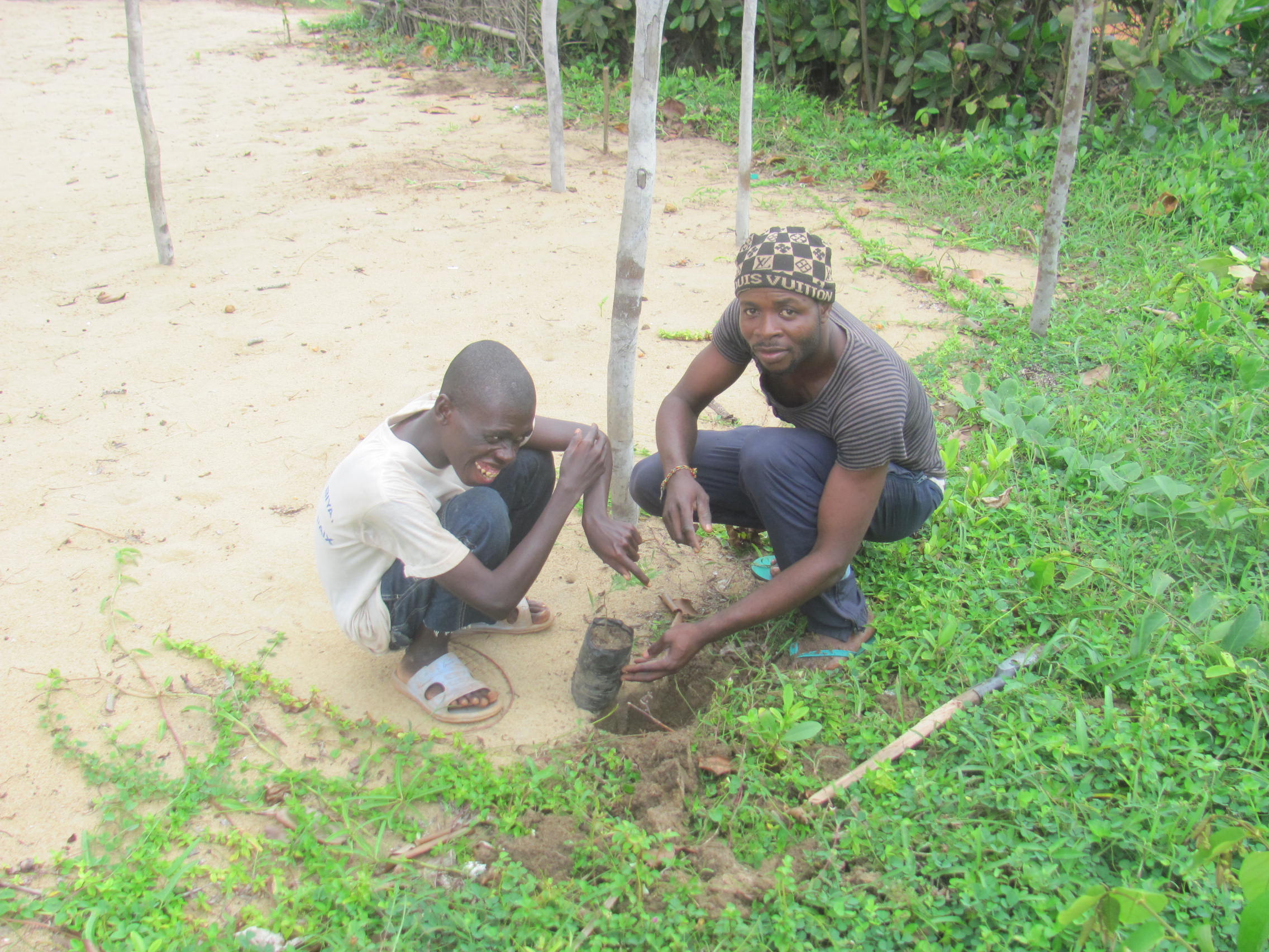 Tree planting