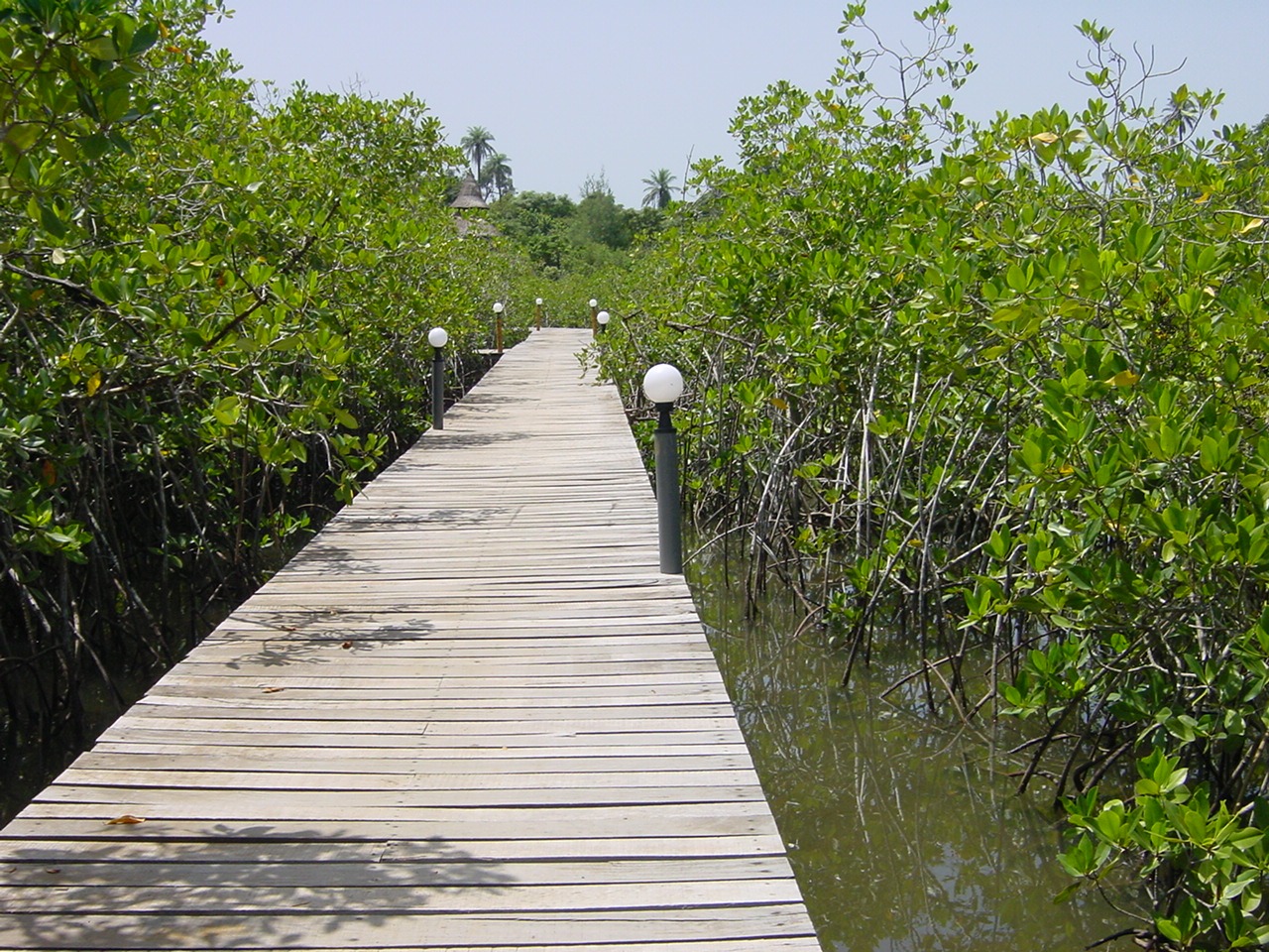 A SUSTAINABLE PATH FOR LARGE-SCALE COASTAL TOURISM IN MEXICO