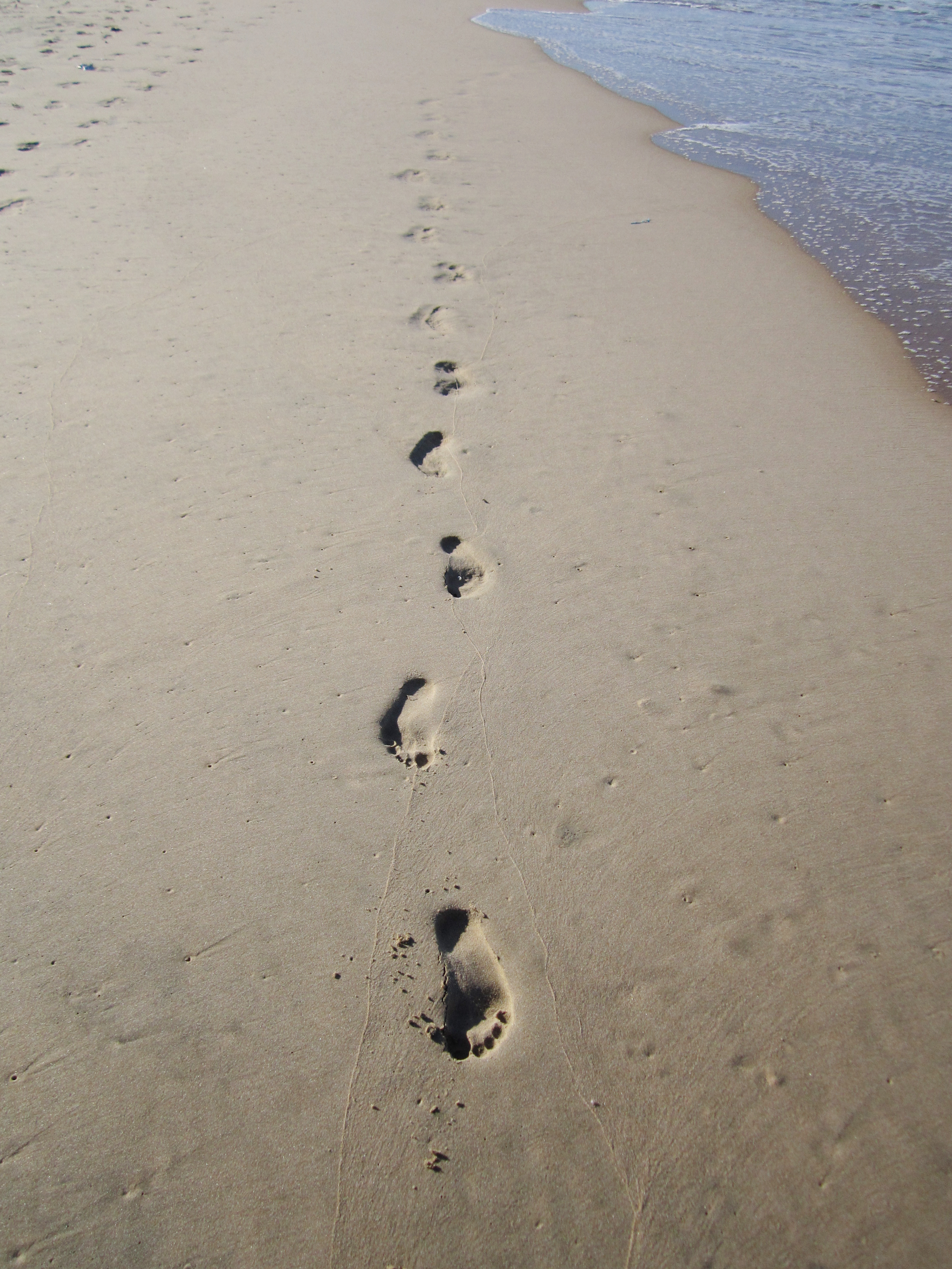 Angola: Rehabilitating Angola's Protected Coastal Areas