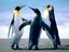 Sustainable Coastal Tourism In the NEWS