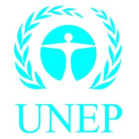 UNEP Strengthened and Upgraded to Implement The Future We Want 