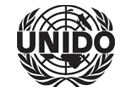 UNIDO Logo