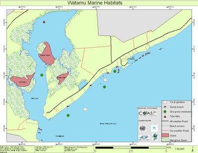 Watamu_Marine Habitats.jpg