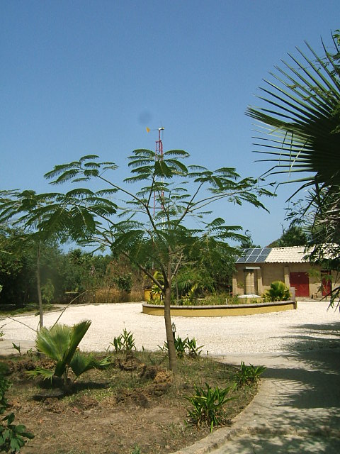 dscf2829.jpg