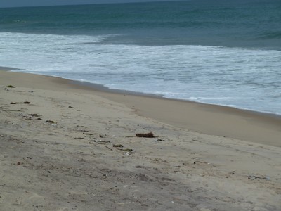 P1000940.JPG