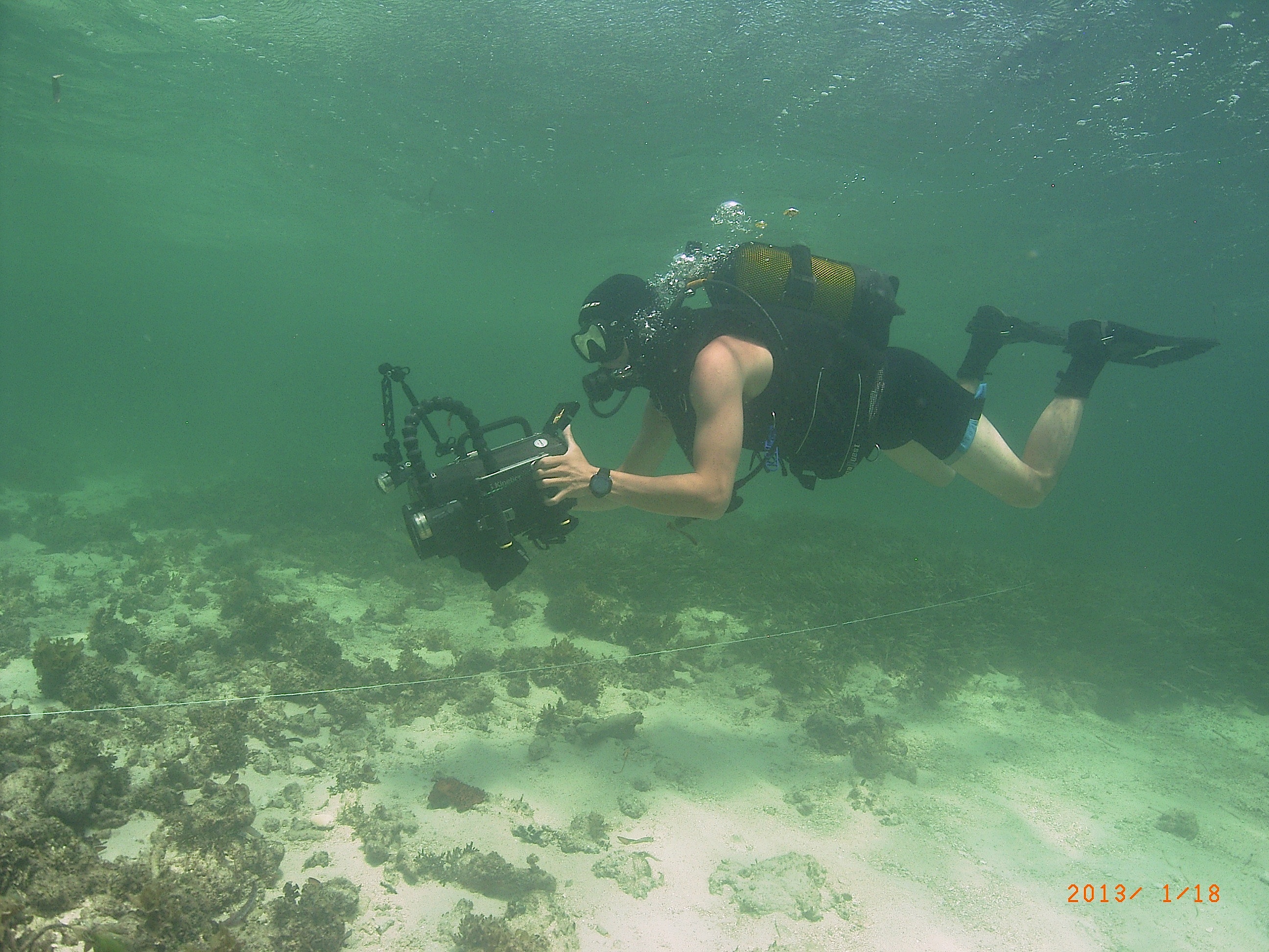 Coral Gardens Video Transect Watamu.jpg