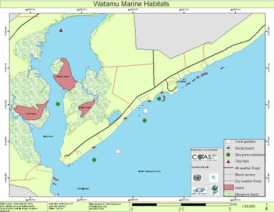 watamu-marine-habitats.jpg