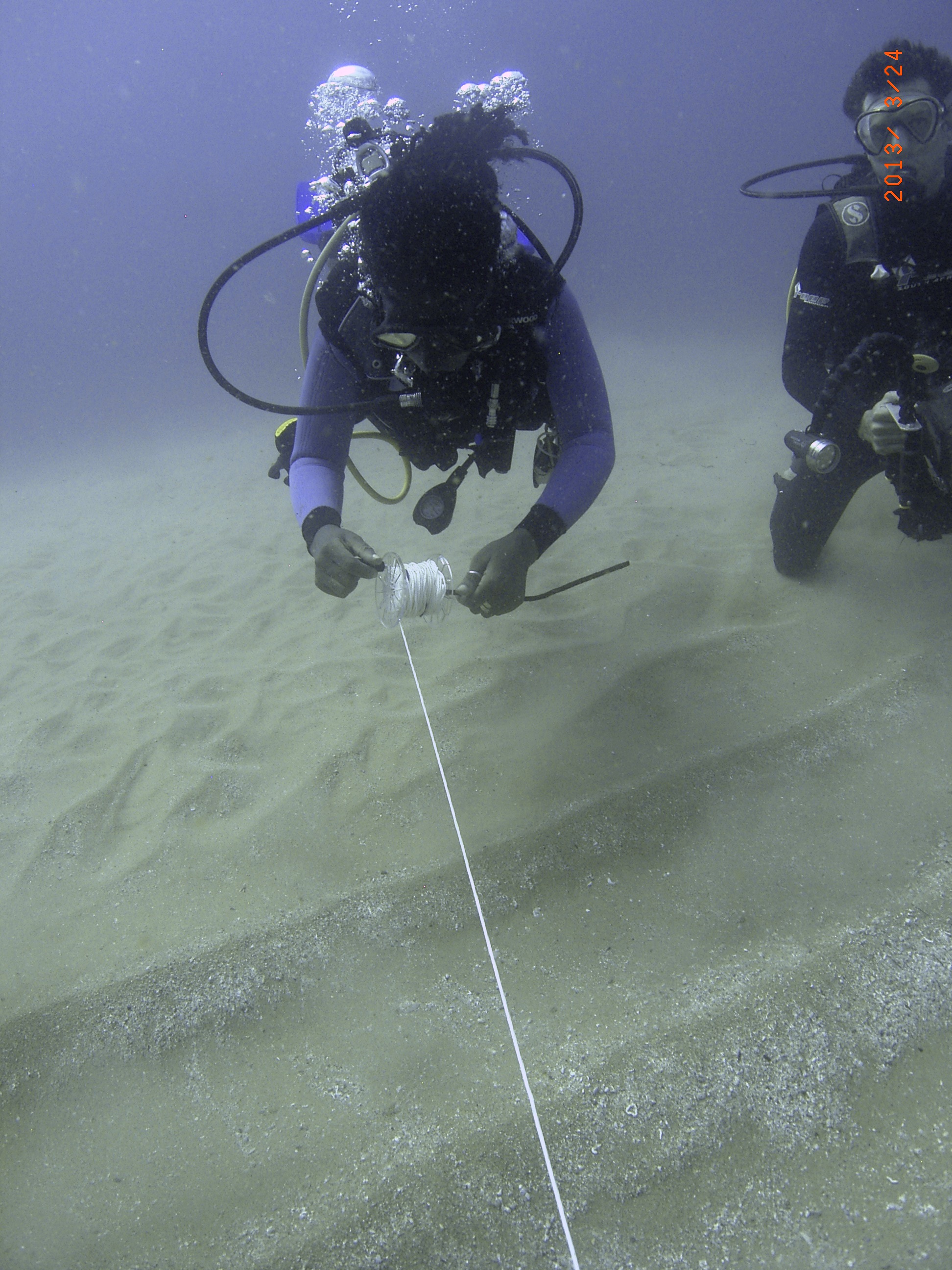 Transect Clownfish Reef.jpg