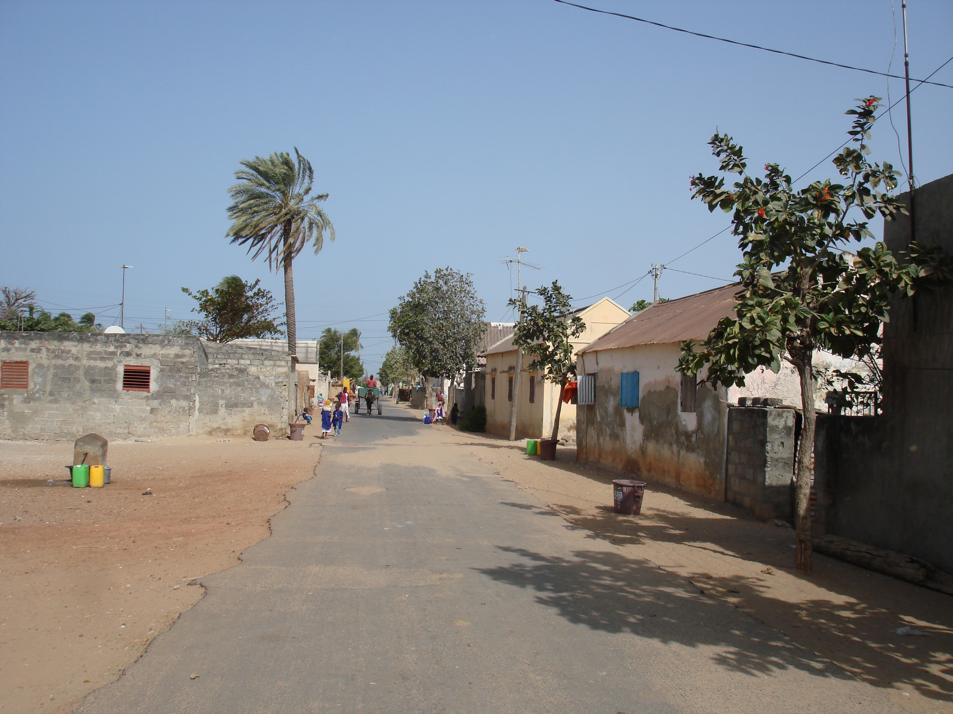 traditional-village-within-the-second-demo-site-at-joal-ngazobil.jpg