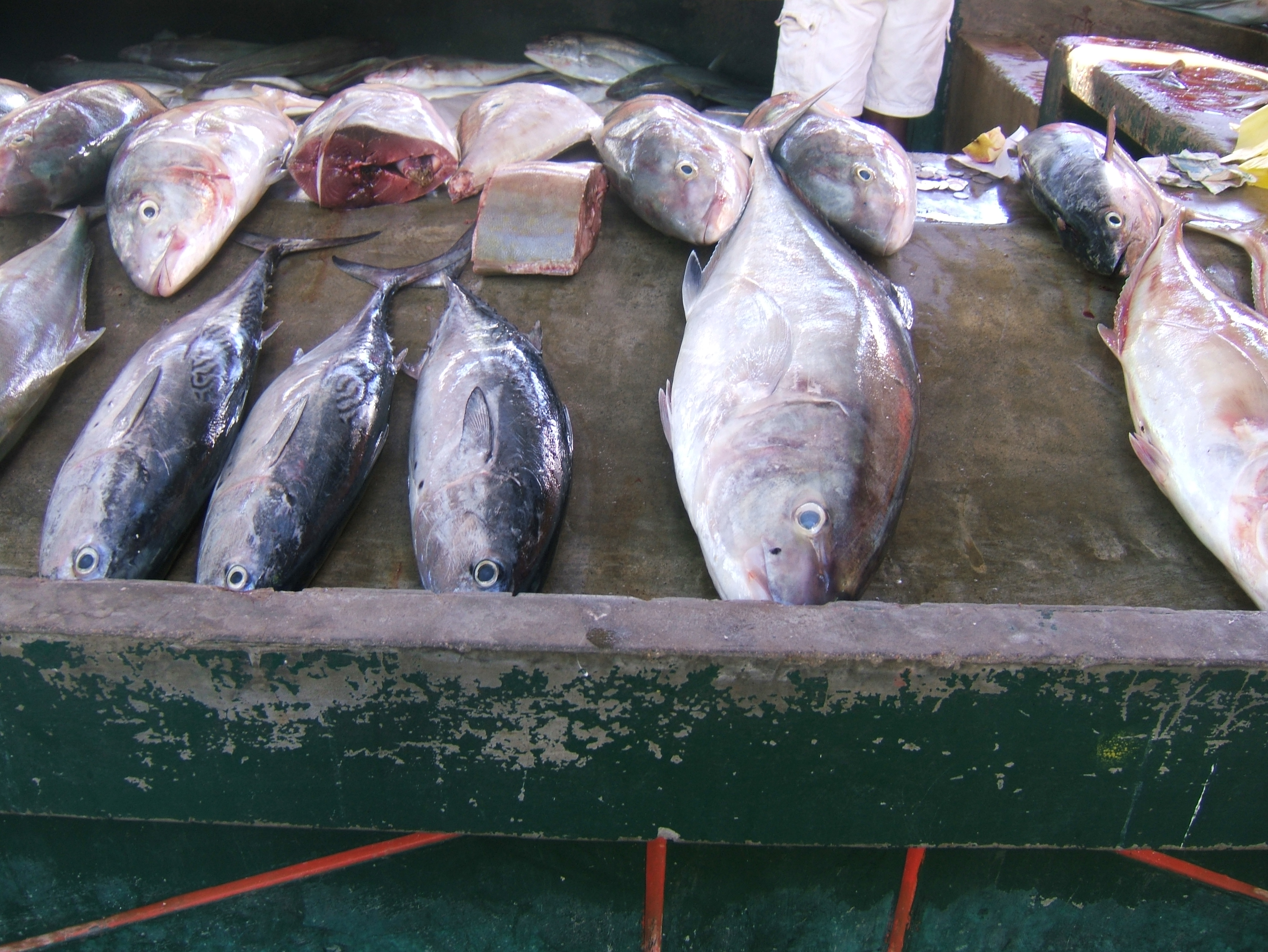 local-fish-market-mahe.jpg