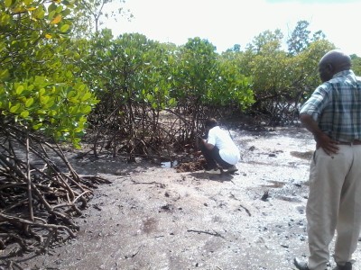 Dunda Executive Ward Officer with DSMC Chairperson during identification of the area for mangroves replanting.jpg