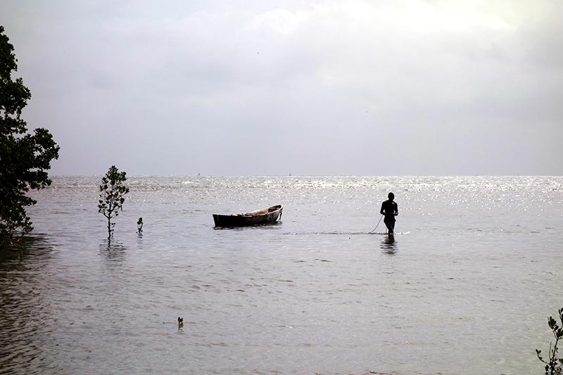 Photo of Bagamoyo demo site.jpg