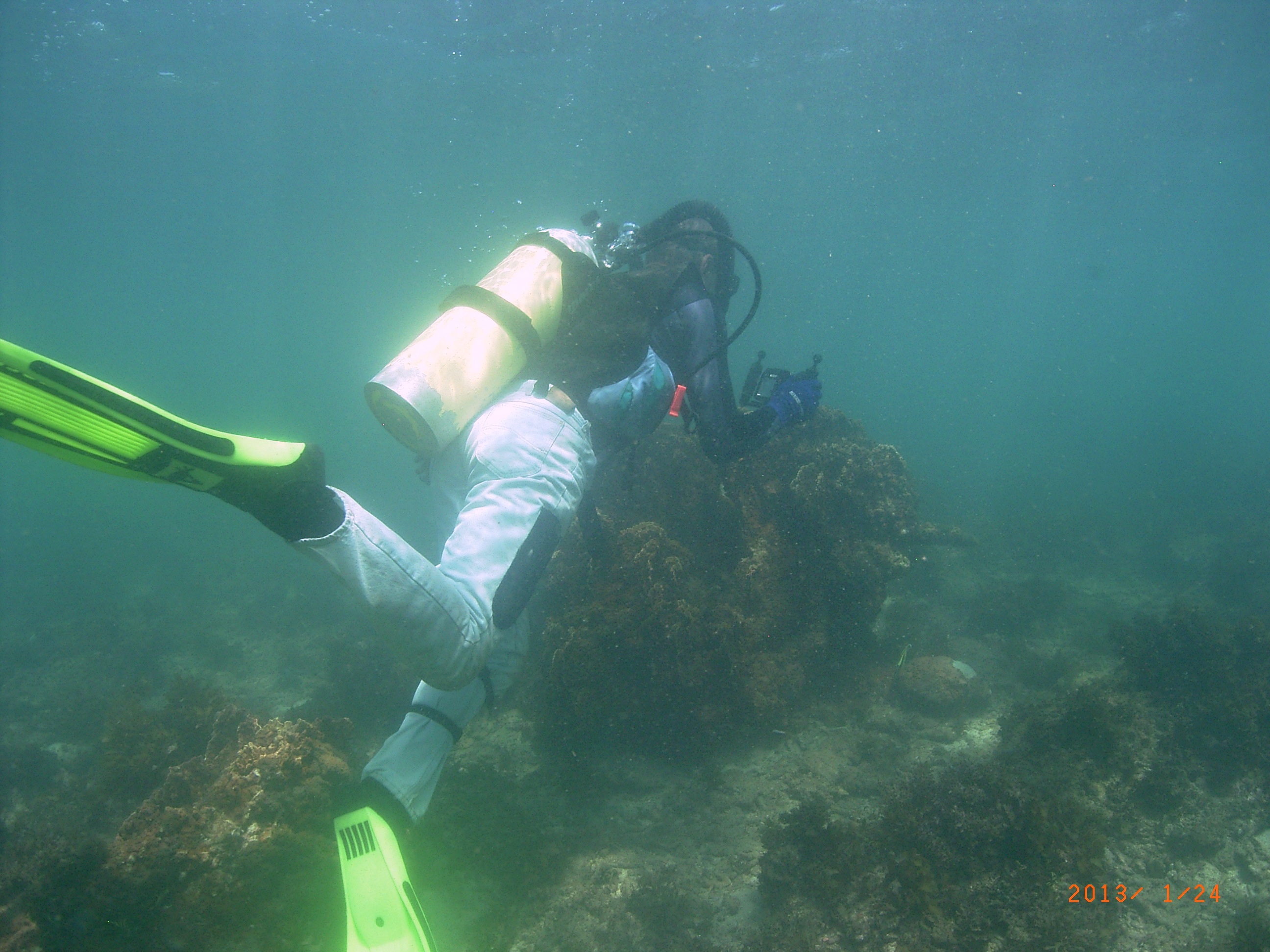 Photo survey Mshingwe Reef.jpg