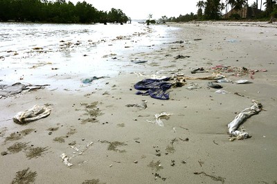 Solid waste pollution washed onto the shore photo 2.jpg