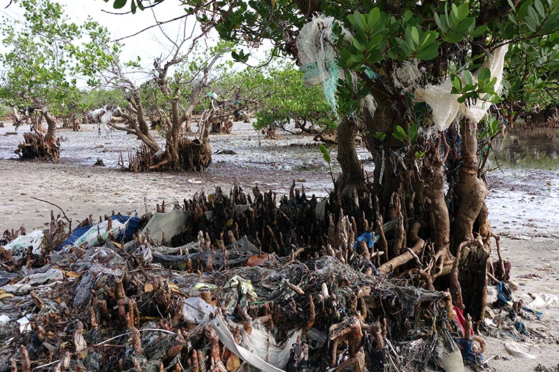 Solid waste pollution washed onto the shore.jpg