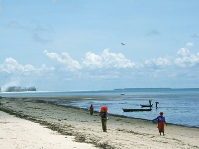 lack-of-immediate-access-means-the-island-is-unlikely-to-attract-mass-tourism-but-rather-higher-end-tourism.jpg lack-of-immediate-access-means-the-island-is-unlikely-to-attract-mass-tourism-but-rather-higher-end-tourism.jpg